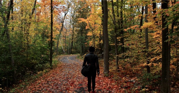 Image de sentier pédestre